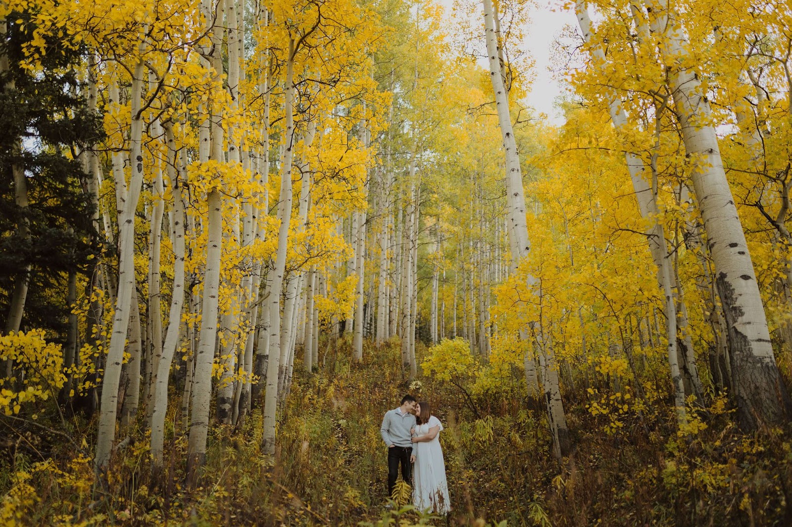 couple having Crested Butte elopement surrounded by trees