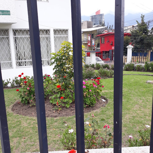 Opiniones de Oland Seguros en Quito - Agencia de seguros