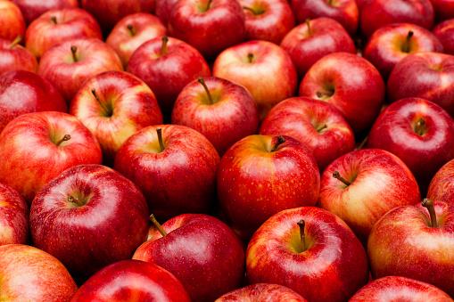 Apple Fruit Pictures | Download Free Images on Unsplash