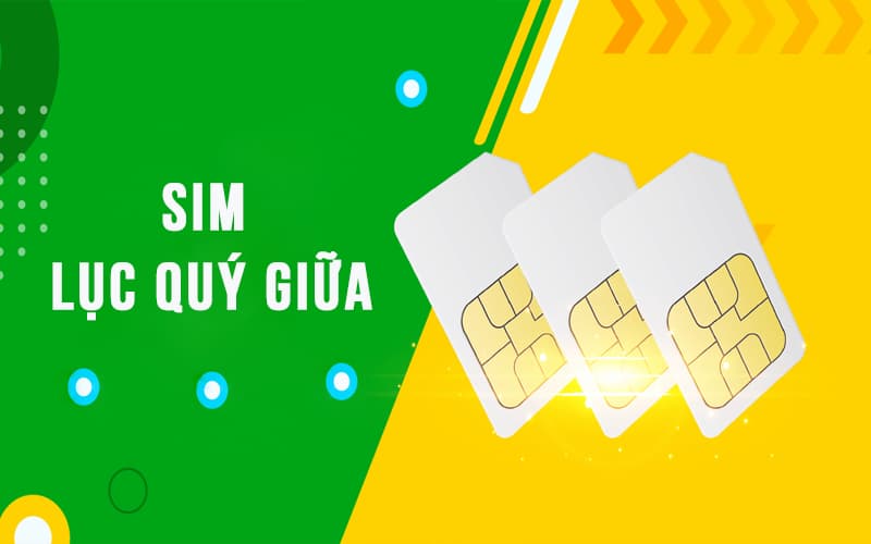 Ý nghĩa của sim lục quý giữa