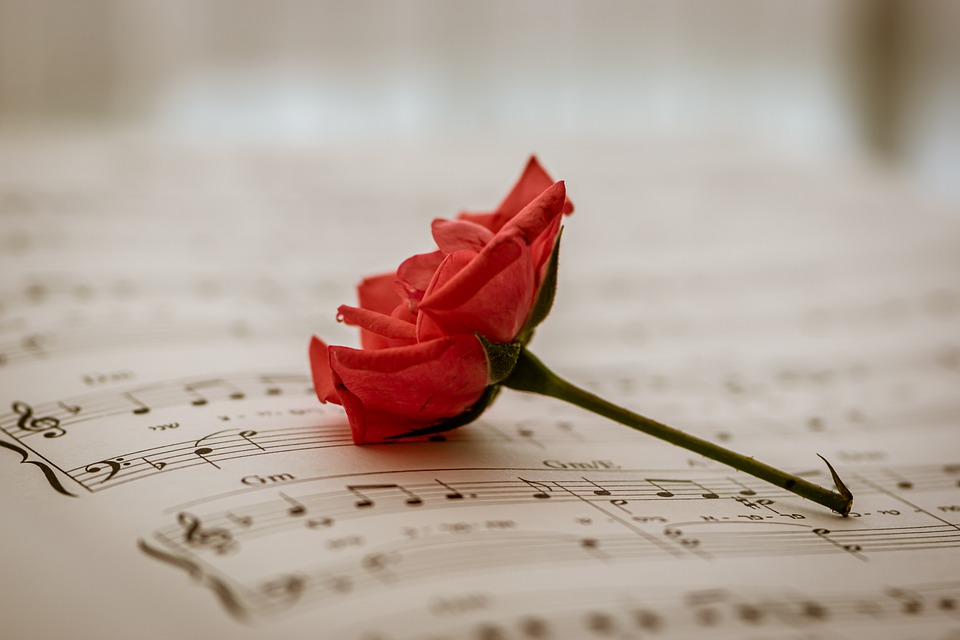 Sheet Music, Red Rose, Red Flower, Sounds Of Music