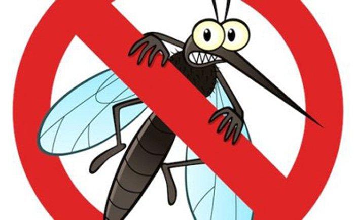 Thời điểm tốt nhất để phun thuốc diệt muỗi phòng sốt xuất huyết | Vinmec