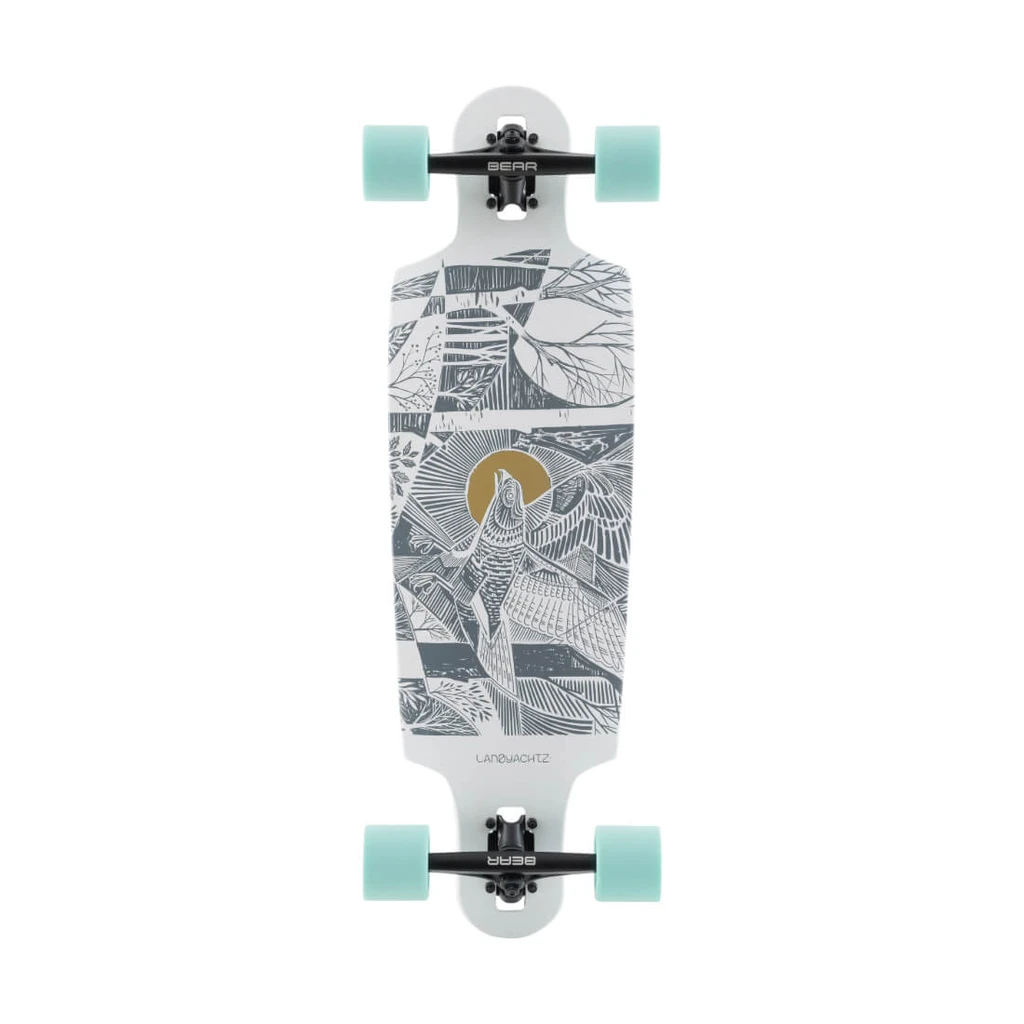 best beginner longboard for cruising