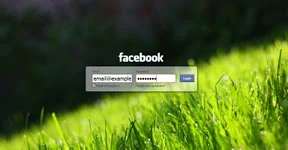 Similar to the first ne but the background is change 