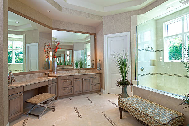 Bathroom Beautiful master bath in an estate home. Faux Plants in Bathroom stock pictures, royalty-free photos & images