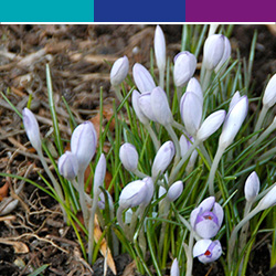 AprilMainGraphic.jpg
