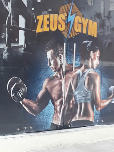 Zeu's Gym - Gimnasio