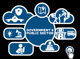 Role of Data Science in Government Sector Organisations