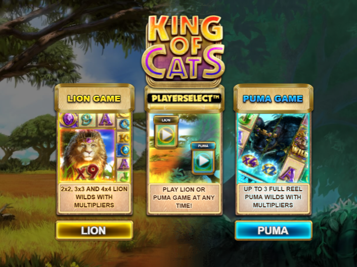 เกมสล็อต King of Cats