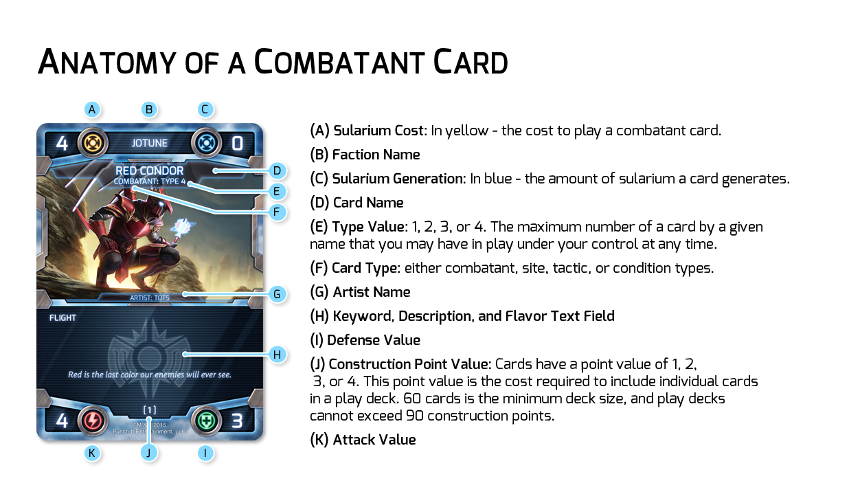 Combatant_anatomy.jpg