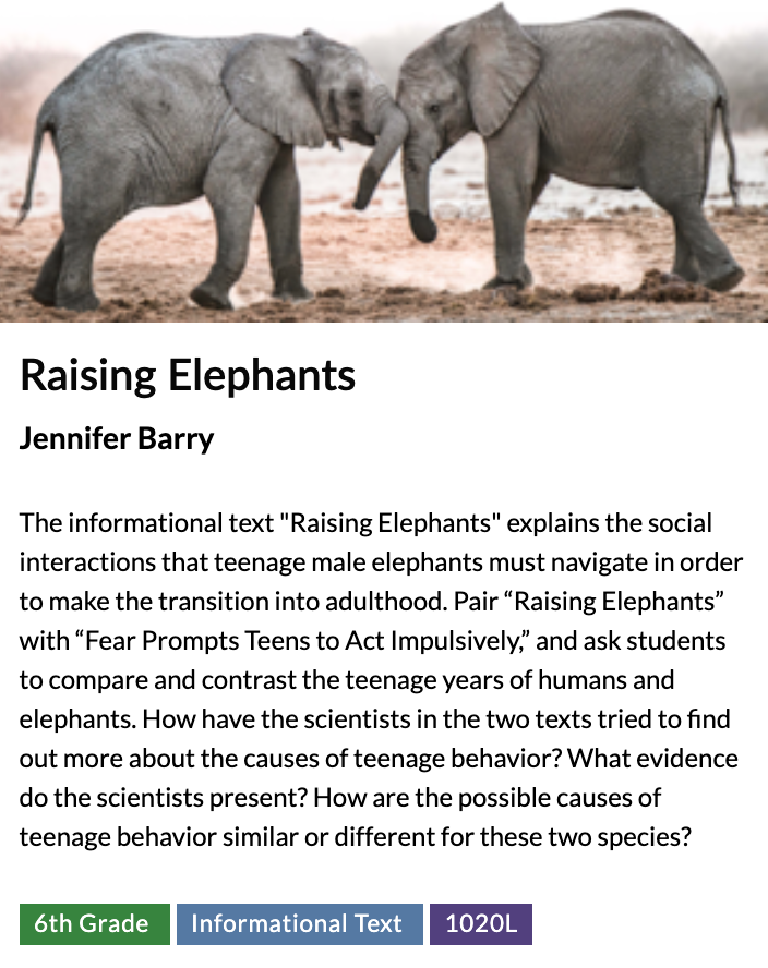 CommonLit reading lesson "Raising Elephants" introduction.
