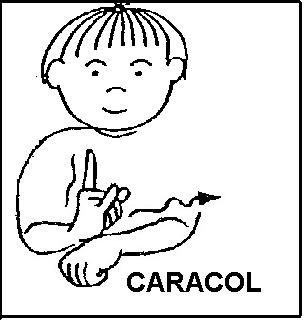 CARACOL.JPG