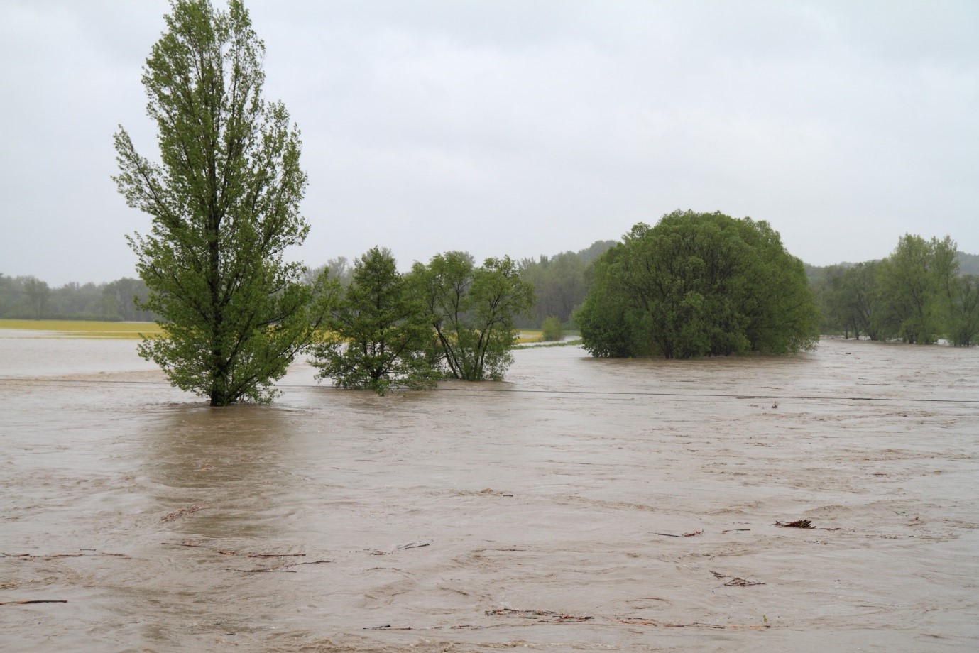 A picture containing outdoor, water, sky, tree
Description automatically generated