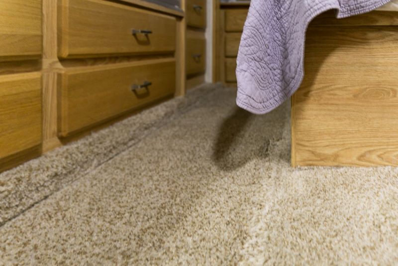 The Rationale Behind Slides Having Carpet Moisture Barrier