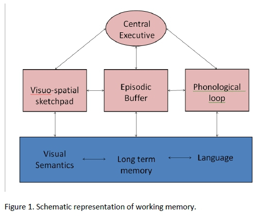 Financial capability working memory aspect financial parenting