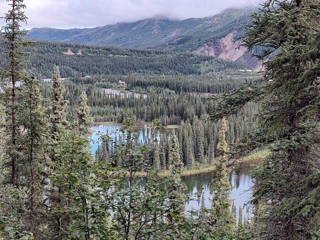 Picture of Wonder Lake in Denali National Park