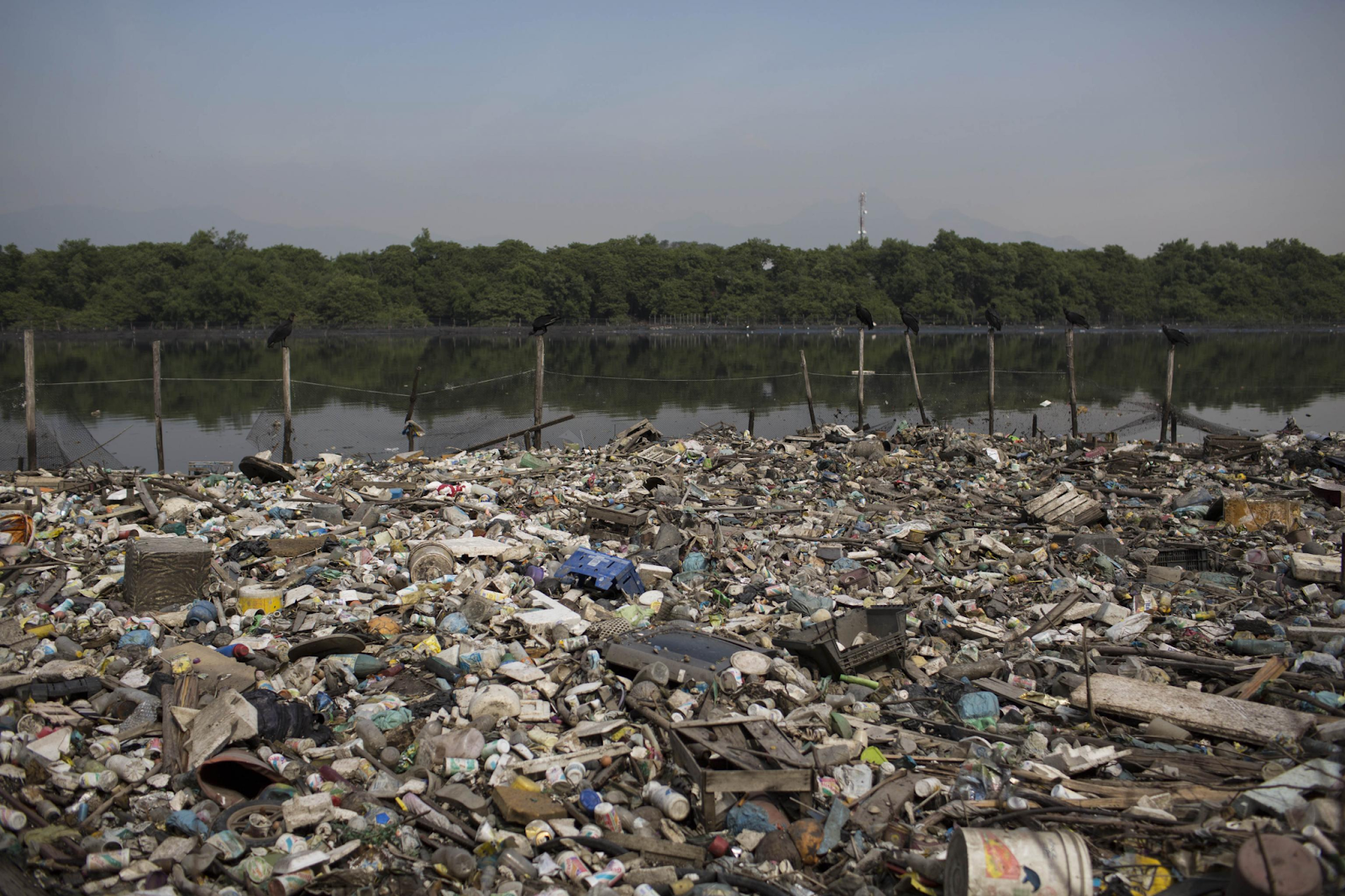 Guanabara Bay, Rio de Janeiro, Brazil (Photo: Bleacher Report)
