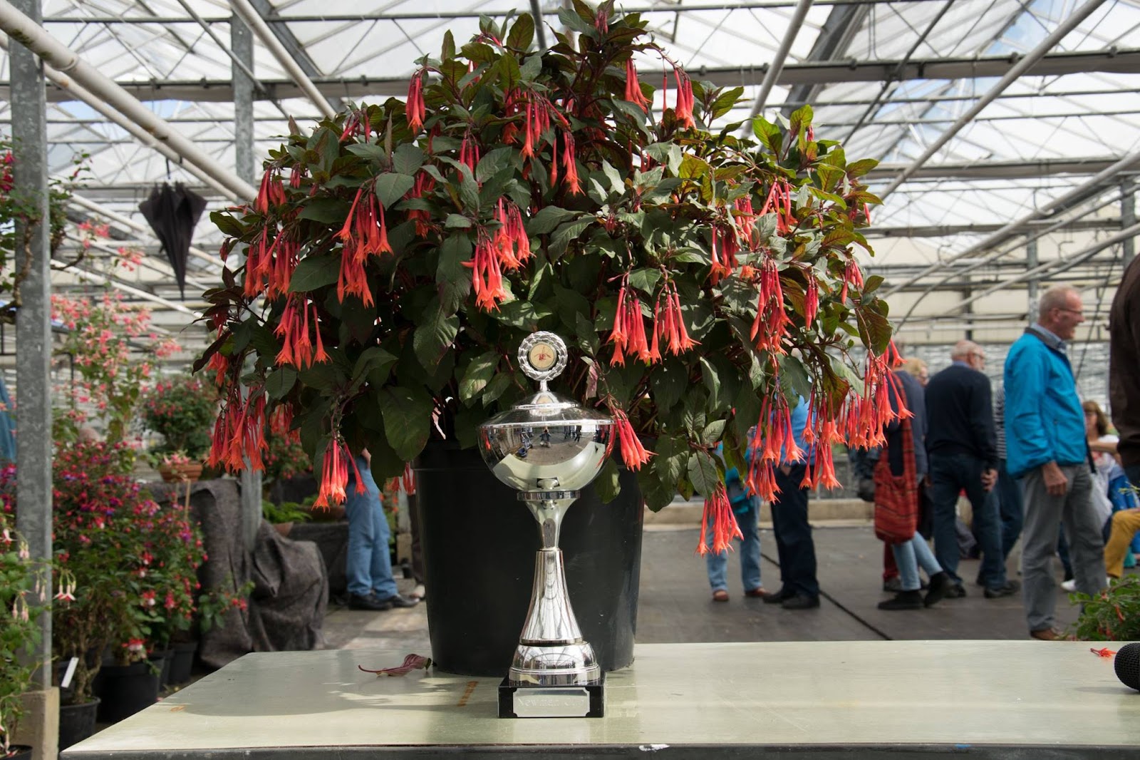 Gartenmeister Bonstedt 1e prijs Heerde.jpg