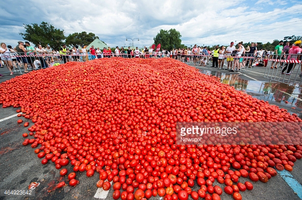 Image result for spanish tomato festival for kids