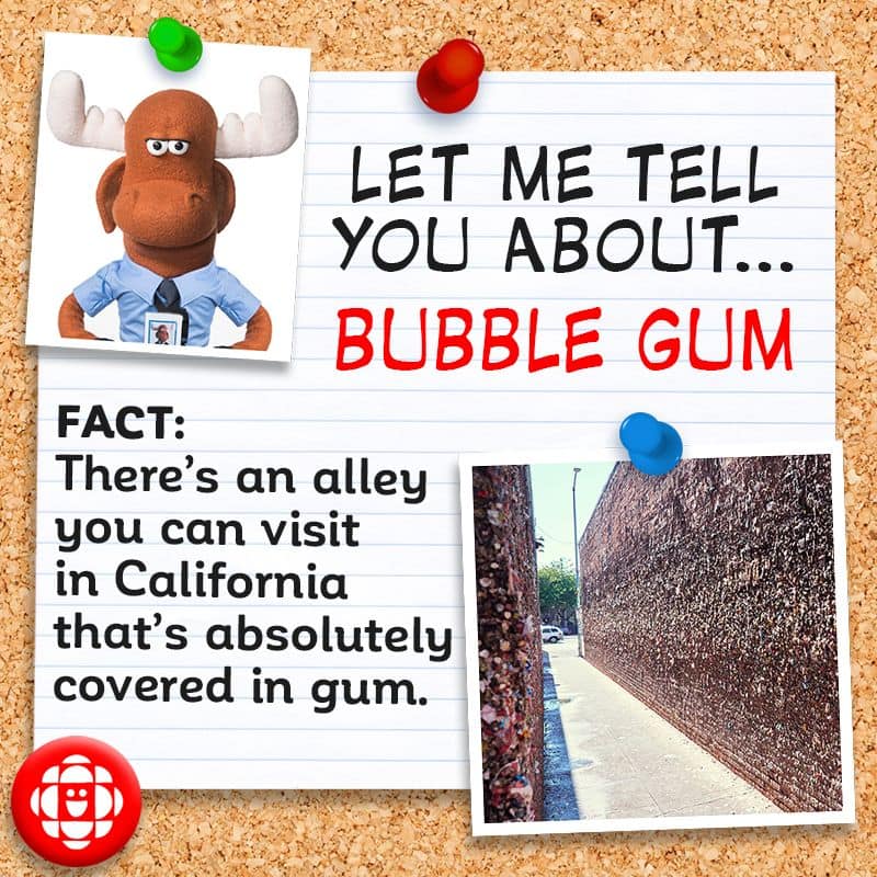 There’s an alley in California that’s absolutely covered in gum.