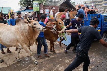Hari Raya Aidiladha Bangladesh 2018