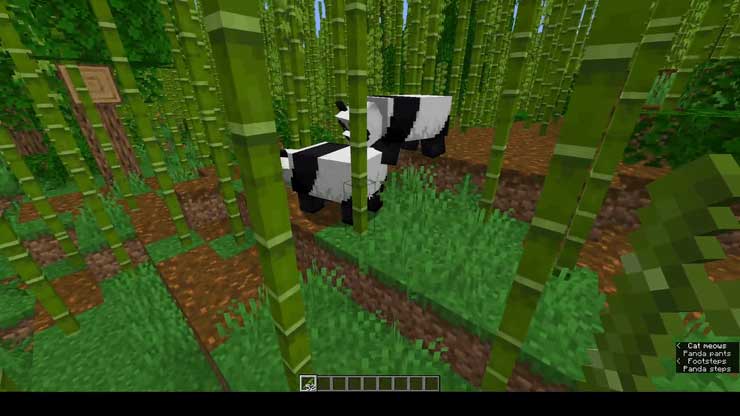 Position of pandas in Minecraft- Minecraft: The location of the panda