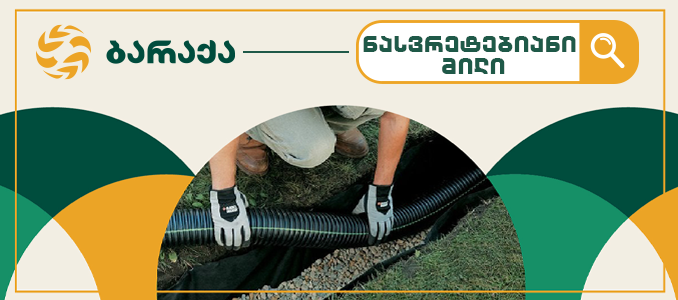 The role of drainage systems in nut fertility