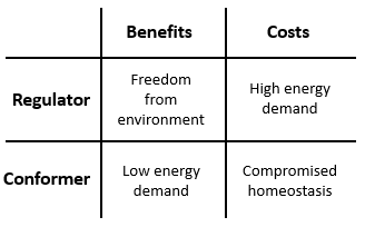 This chart displays the benefits and costs associated with organisms which regulate their internal environment, and those which conform to the external environment. Under regulator, a benefit is freedom from environment, and a cost is high energy demand. Under conformer, a benefit is low energy demand, and a cost is compromised homeostasis. 