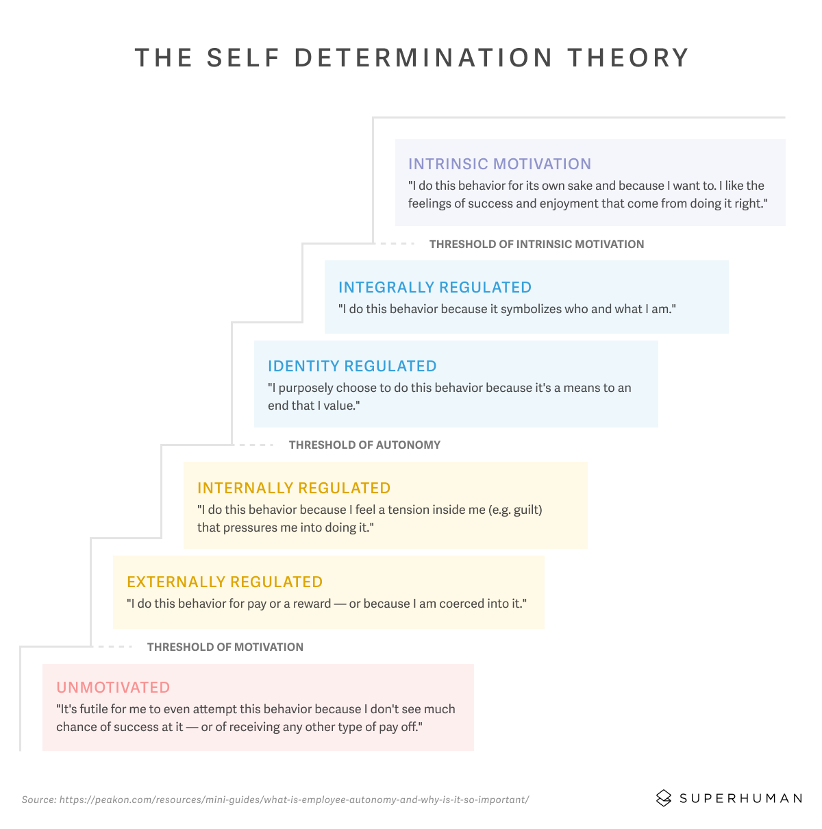 Self Determination Theory