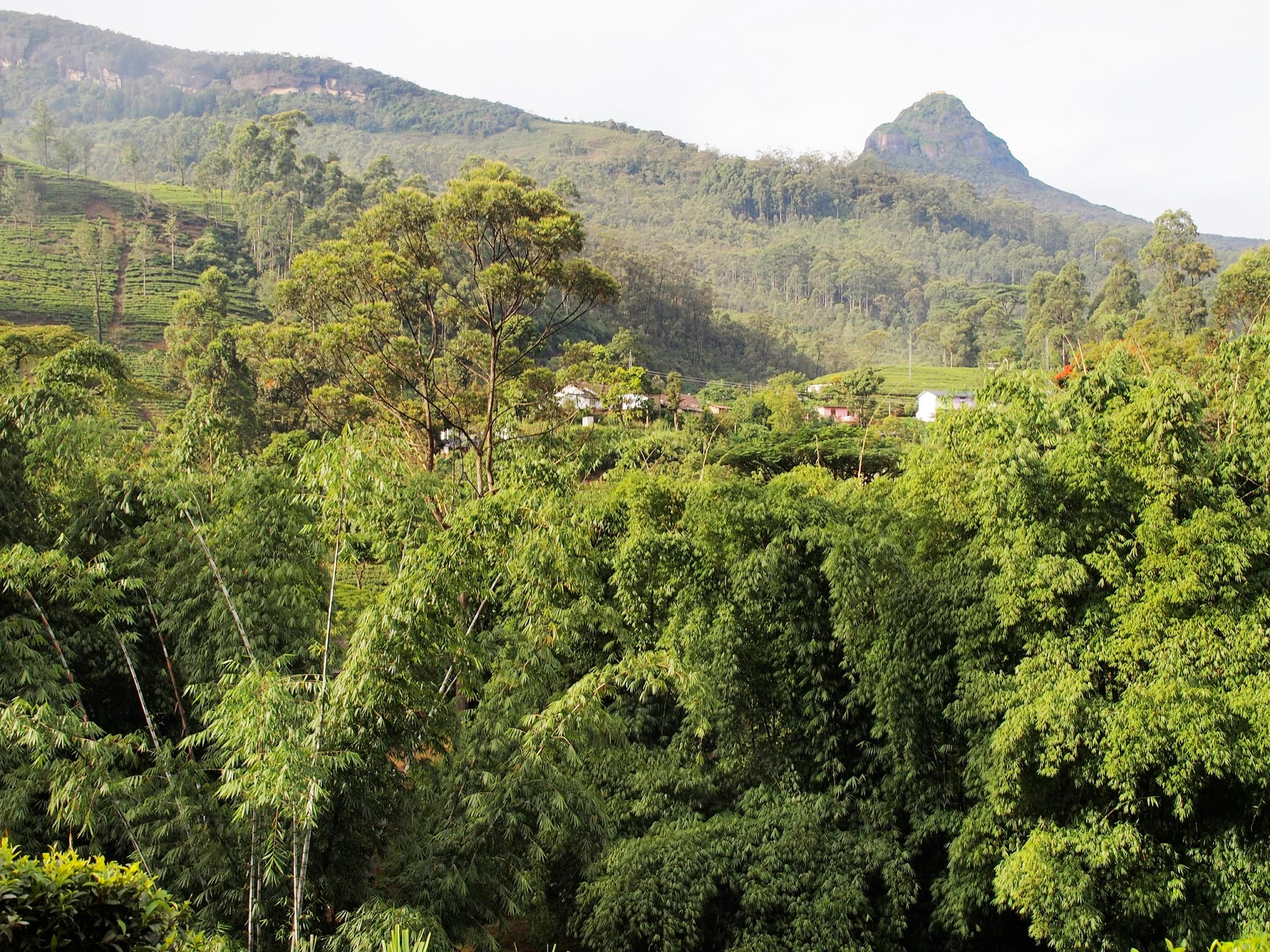 Sri Pada or Adam's Peak