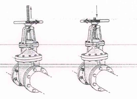 Stem Designs