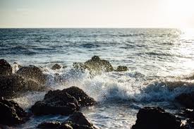 Image result for The rocky shore