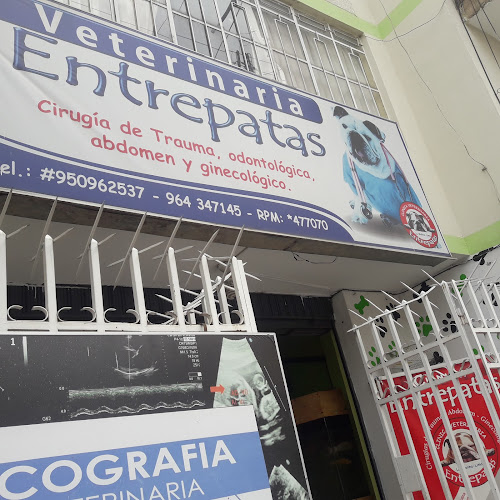 Clínica Veterinaria Entrepatas - Huancayo