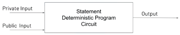 Statement Deterministic Program Circuit