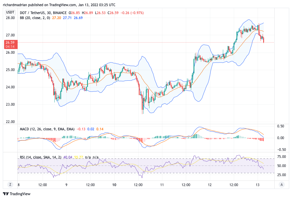 Polkadot Price Prediction 2022-2030: Is DOT a Good Investment? 9