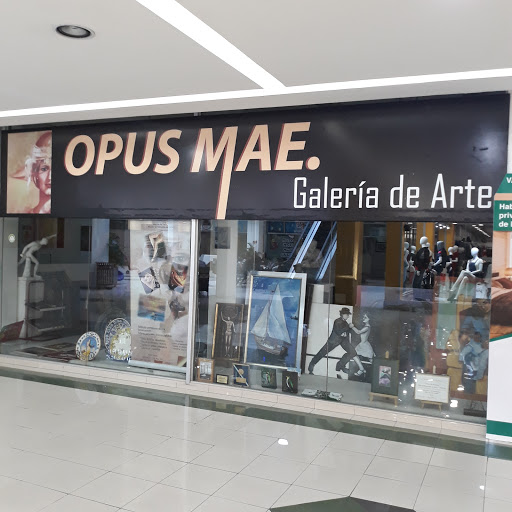 Opus Mae Galería de Arte