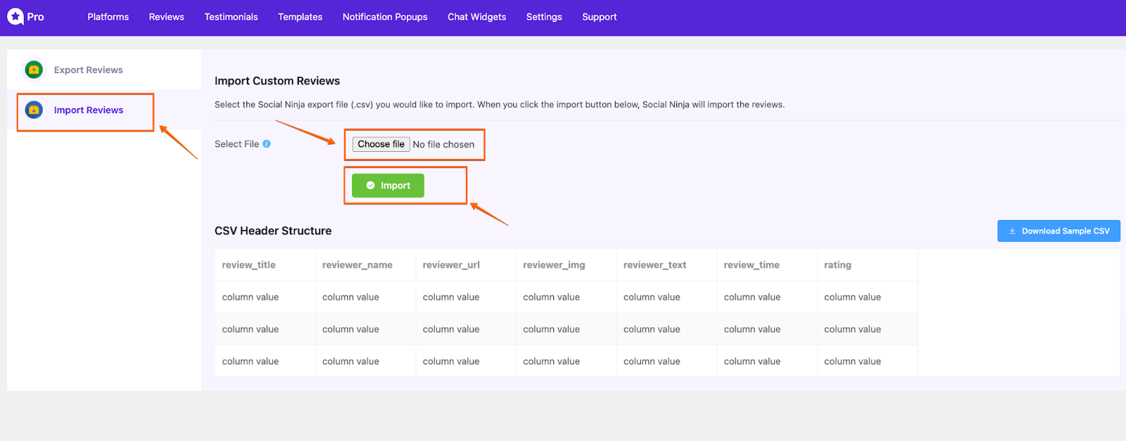 WP social Ninja 3.6.0:Import Review Process