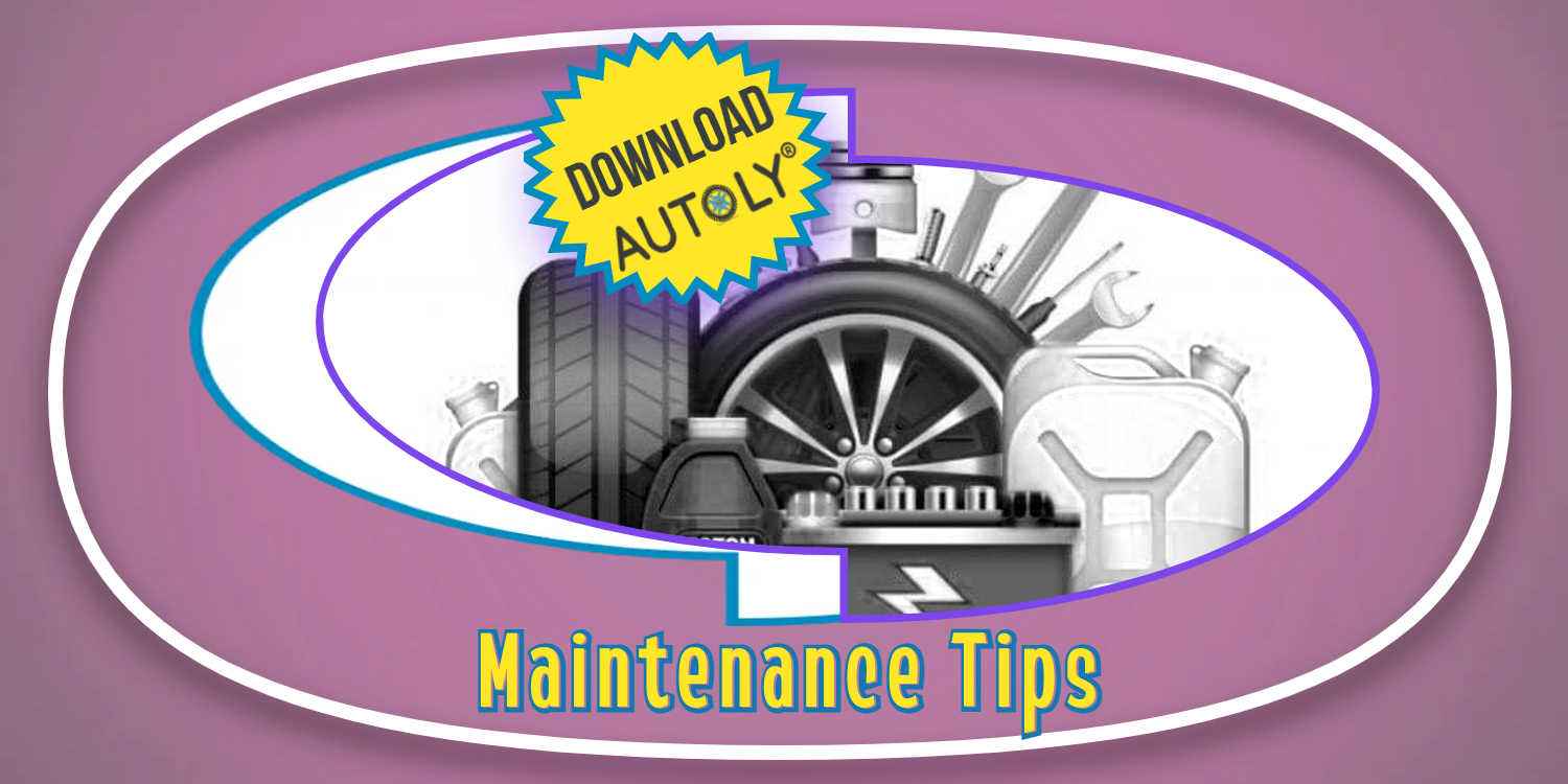 Maintenance Check: The Autoly AutoCare Experience