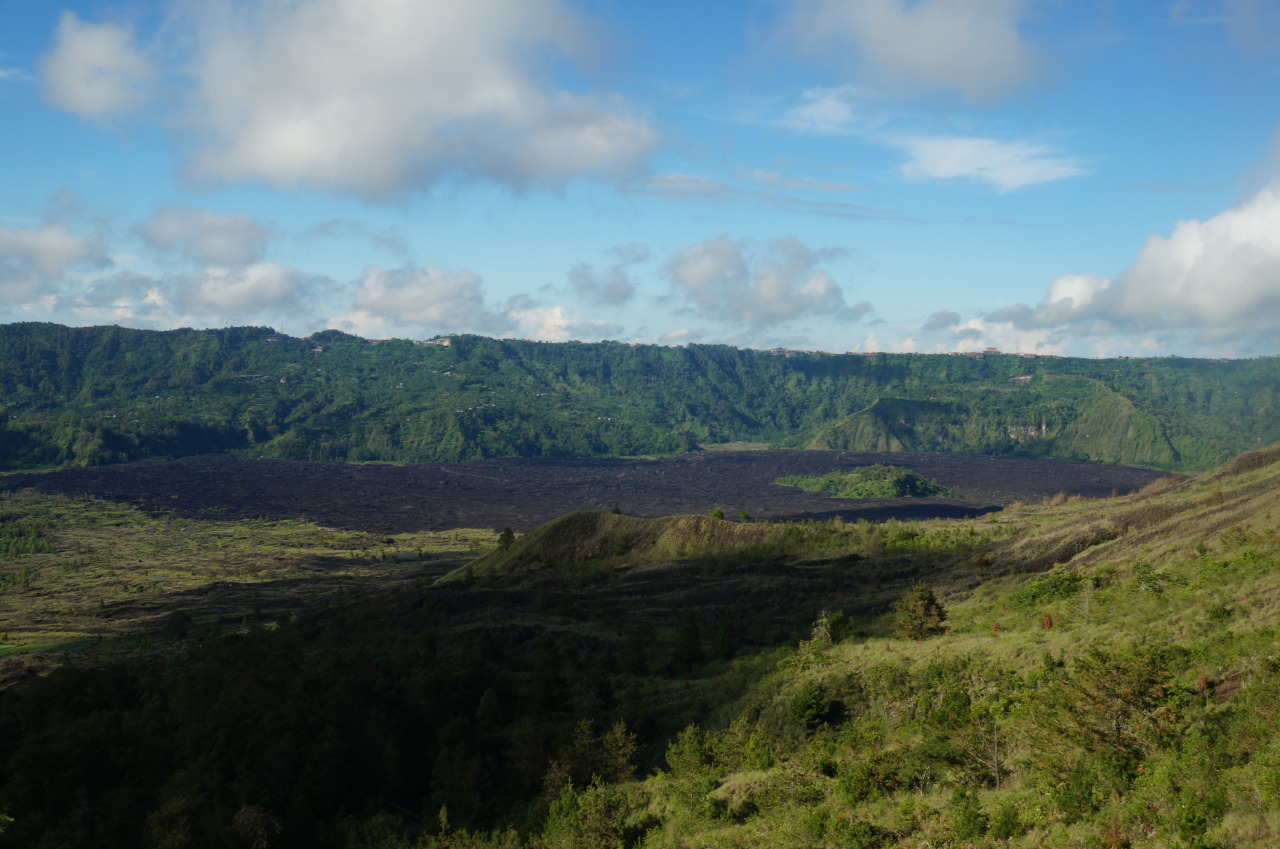034965941-big.jpg