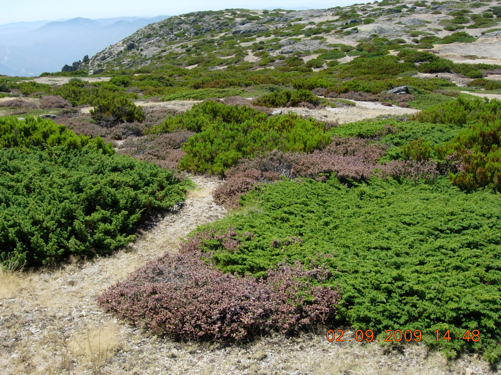 DSCN0924.JPG