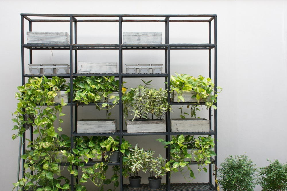 Vertical Garden