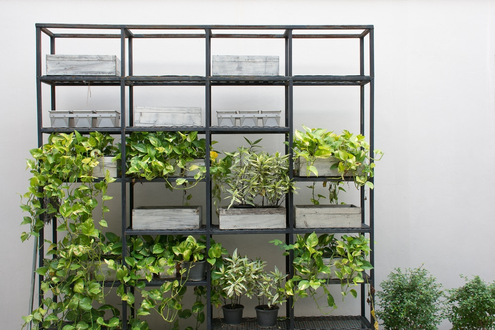 Vertical garden