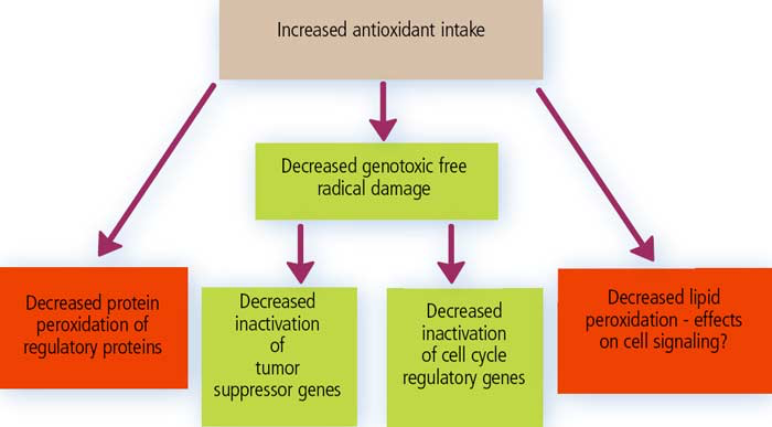 Antioxidants and cancer prevention