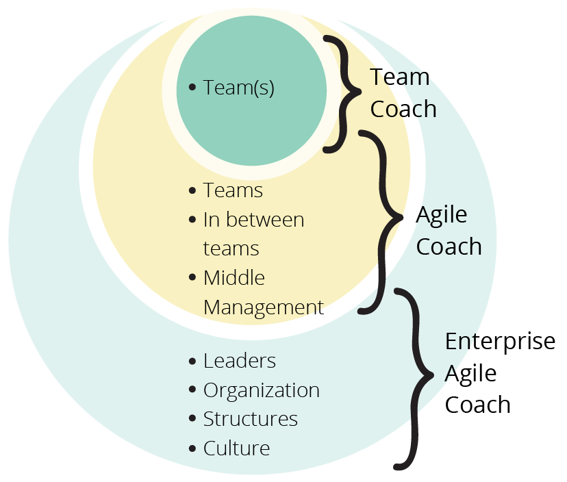 Agile Coaching in a Nutshell - This is what Agile Coaches do - Free  Infographic Poster | Dandy People