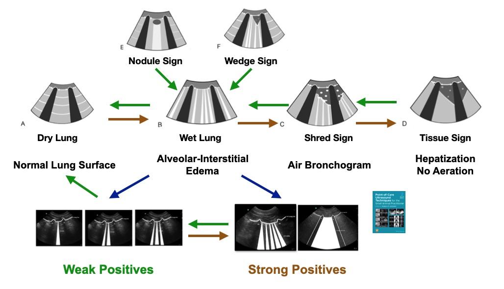 Diagram

Description automatically generated