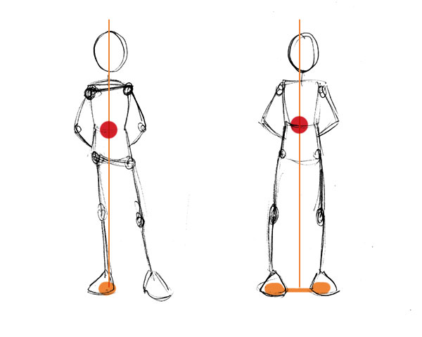 İnsan Anatomisi Temelleri: Denge ve Hareket