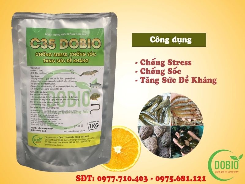 Vitamin C chống stress