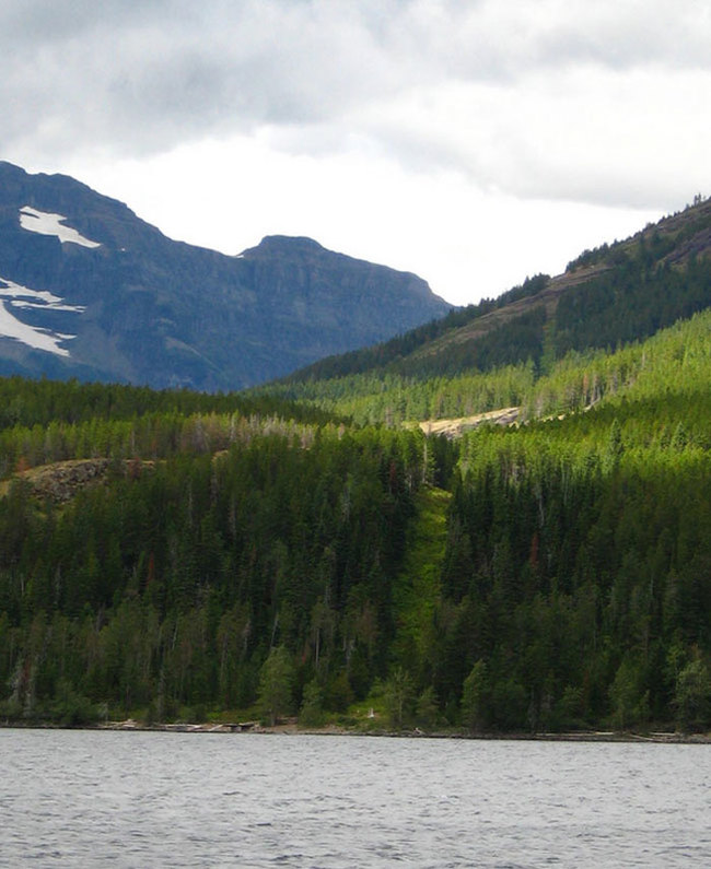 15) United States and Canada - This is the longest international border in the world, stretching approximately 5,500 miles.