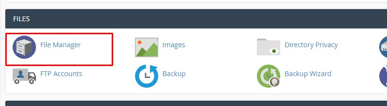file manager