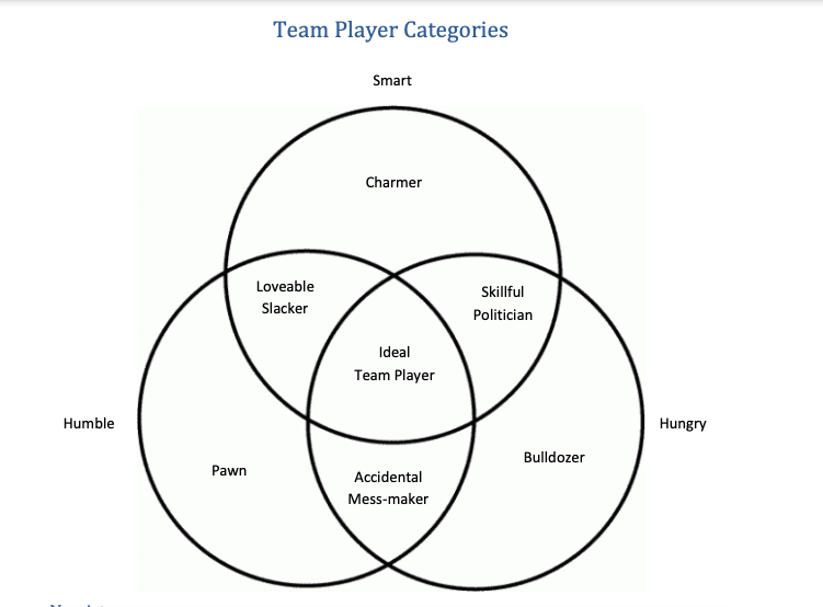 essay on team player